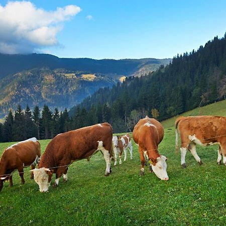 Вилла Tourist Farm Kladje Ljubno Экстерьер фото