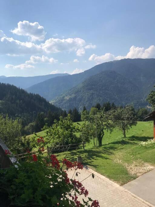 Вилла Tourist Farm Kladje Ljubno Экстерьер фото