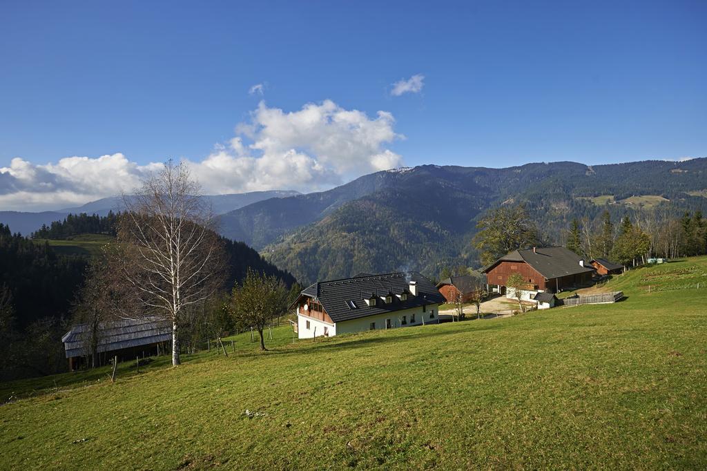 Вилла Tourist Farm Kladje Ljubno Экстерьер фото