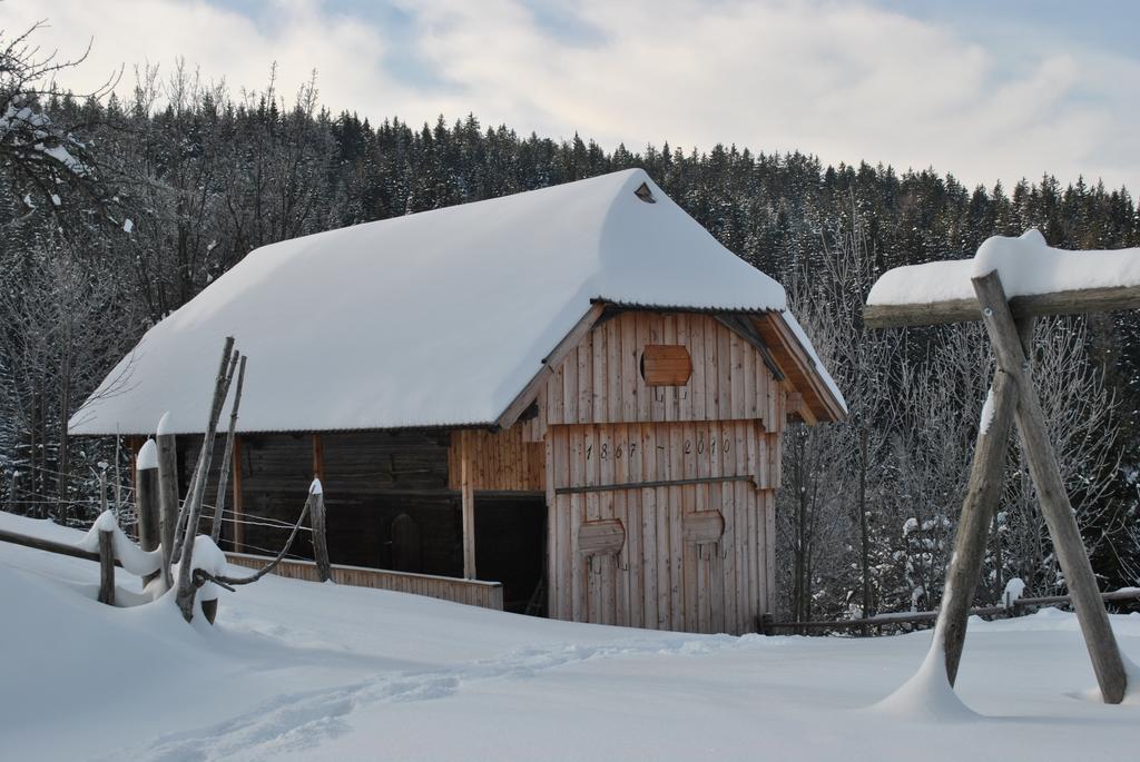 Вилла Tourist Farm Kladje Ljubno Экстерьер фото